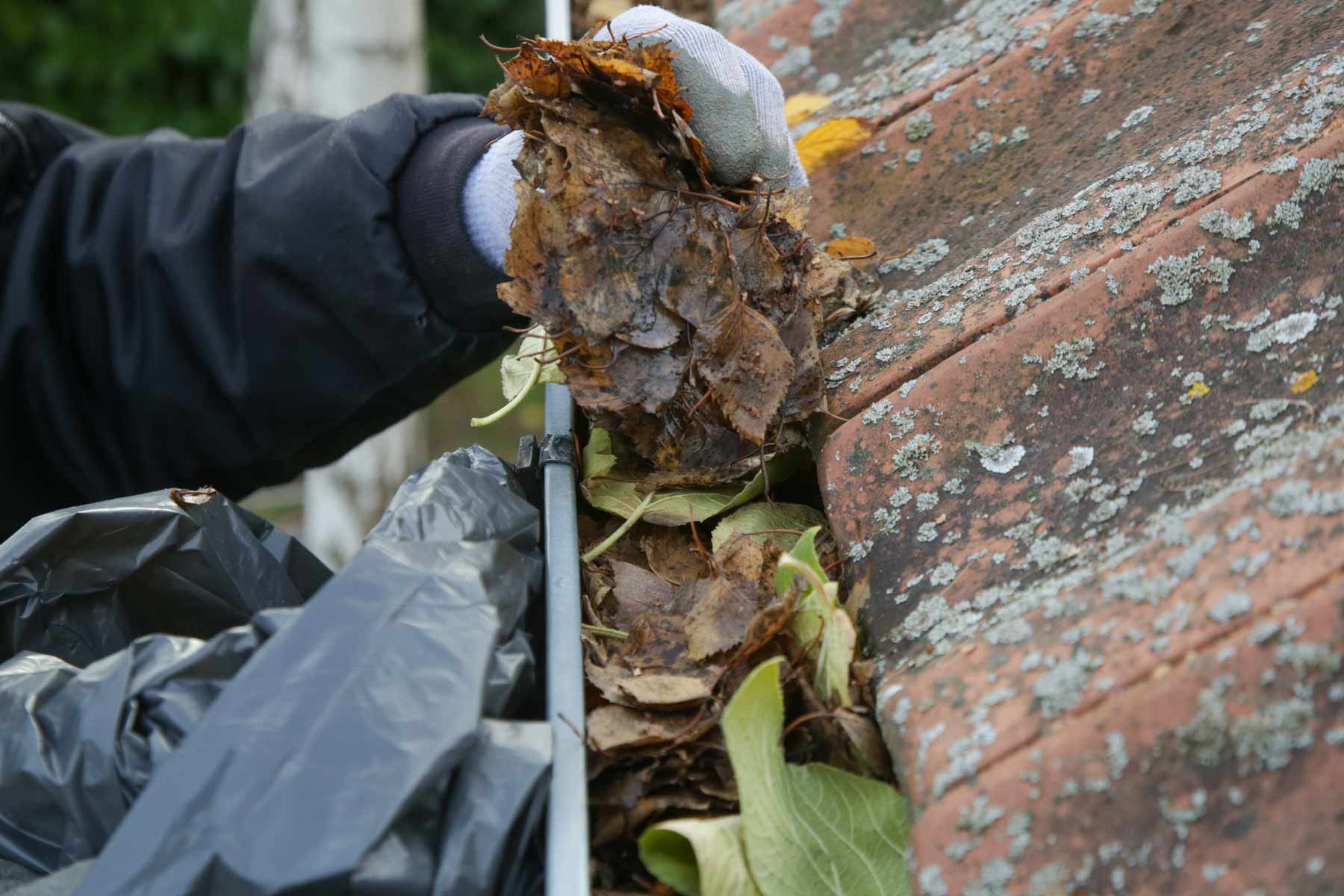 Services in Naples & Tampa, FL | Absolute Gutters Inc